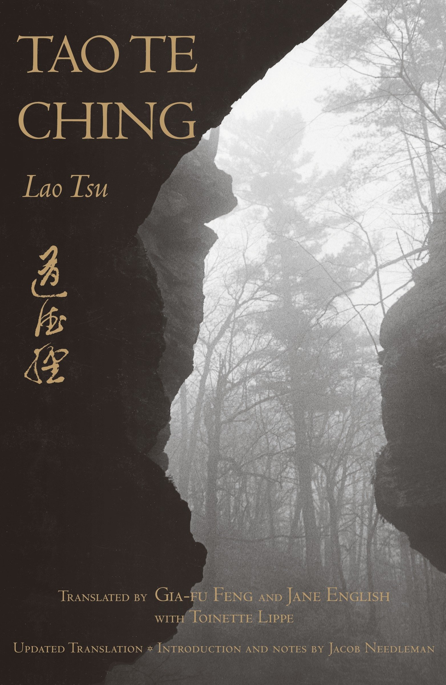 Laozi, Jacob Needleman, Gia-Fu Feng, Jane English, Toinette Lippe: Tao Te Ching (Paperback, 1989, Vintage)