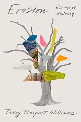 Terry Tempest Williams: Erosion (Hardcover, Sarah Crichton Books, Sarah Crichton Books/Farrar, Straus and Giroux)