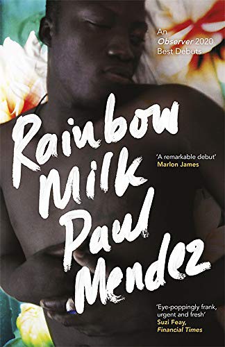 Paul Mendez: Rainbow Milk (Hardcover, Dialogue Books)