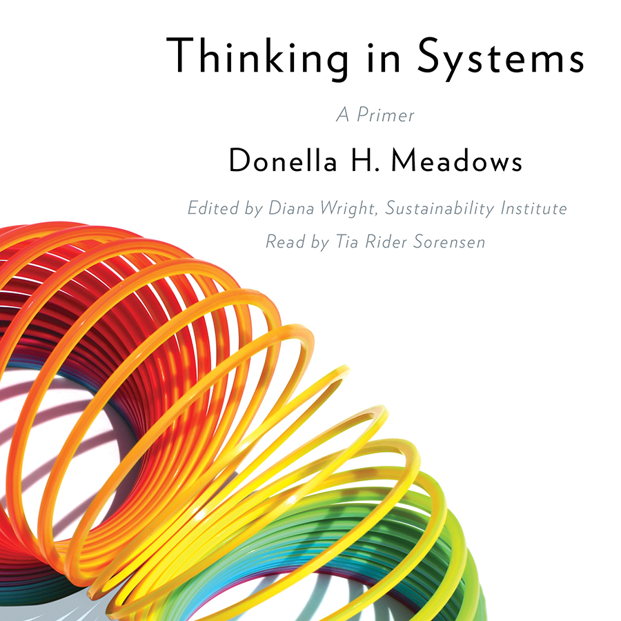 Donella Meadows, Diana Wright: Thinking in systems (AudiobookFormat, 2018)