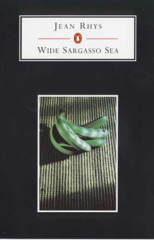 Jean Rhys: Wide Sargasso Sea (Penguin Student Editions) (Penguin Classics)