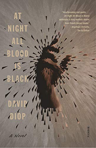 Anna Moschovakis, David Diop: At Night All Blood Is Black (Paperback, Picador)