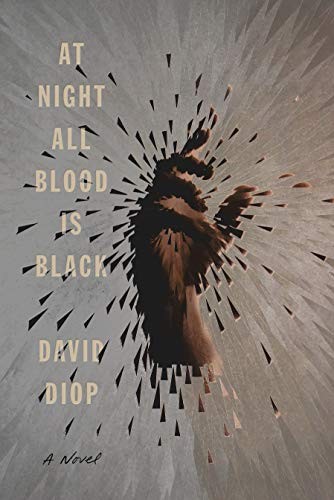 Anna Moschovakis, David Diop: At Night All Blood Is Black (Hardcover, Farrar, Straus and Giroux)