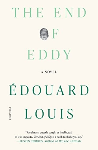 Édouard Louis: The End of Eddy (Paperback, Picador)