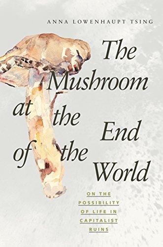 Anna Tsing: The Mushroom at the End of the World : On the Possibility of Life in Capitalist Ruins (2015, Princeton University Press)