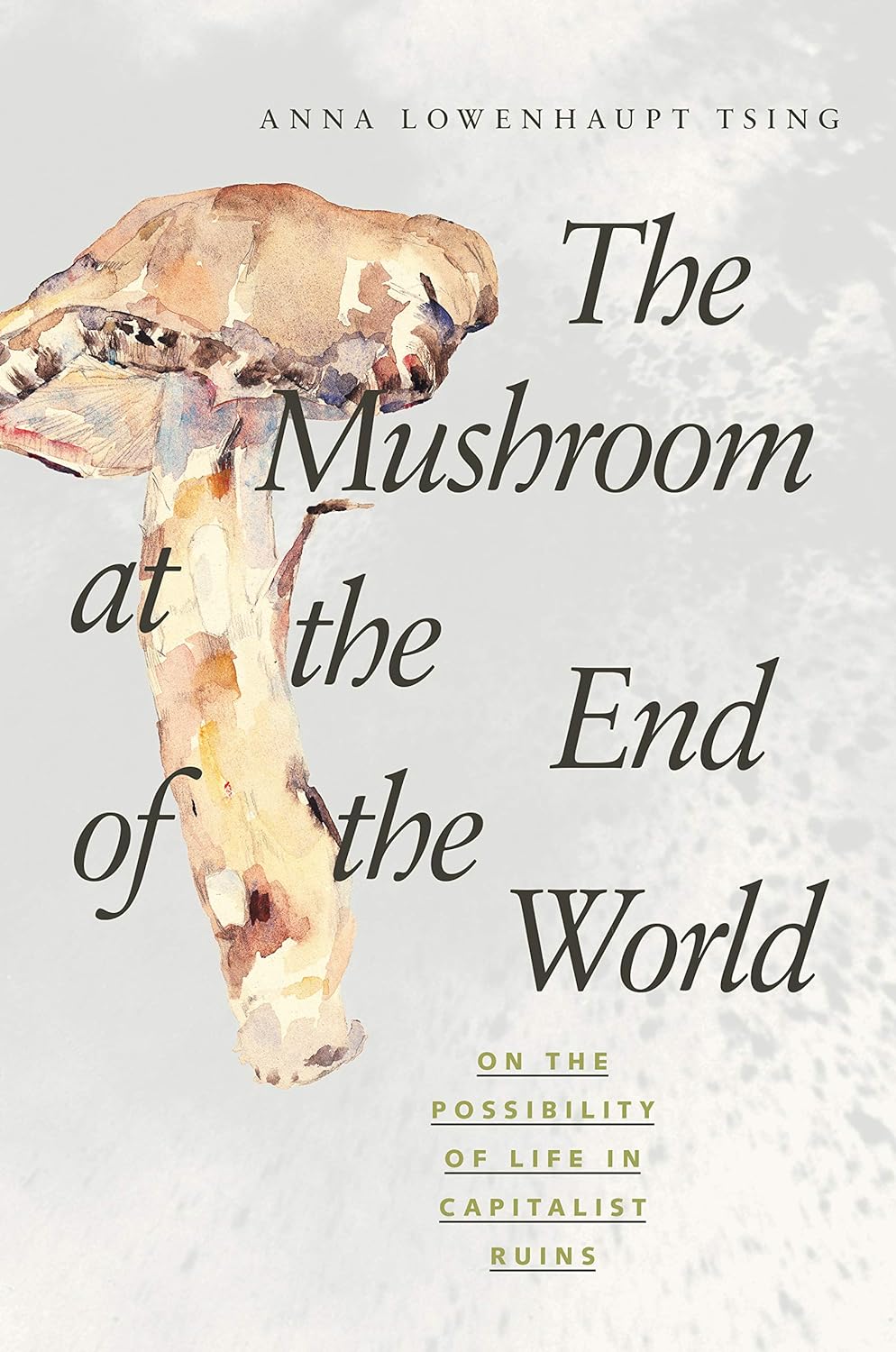 Anna Tsing: The Mushroom at the End of the World (2015)