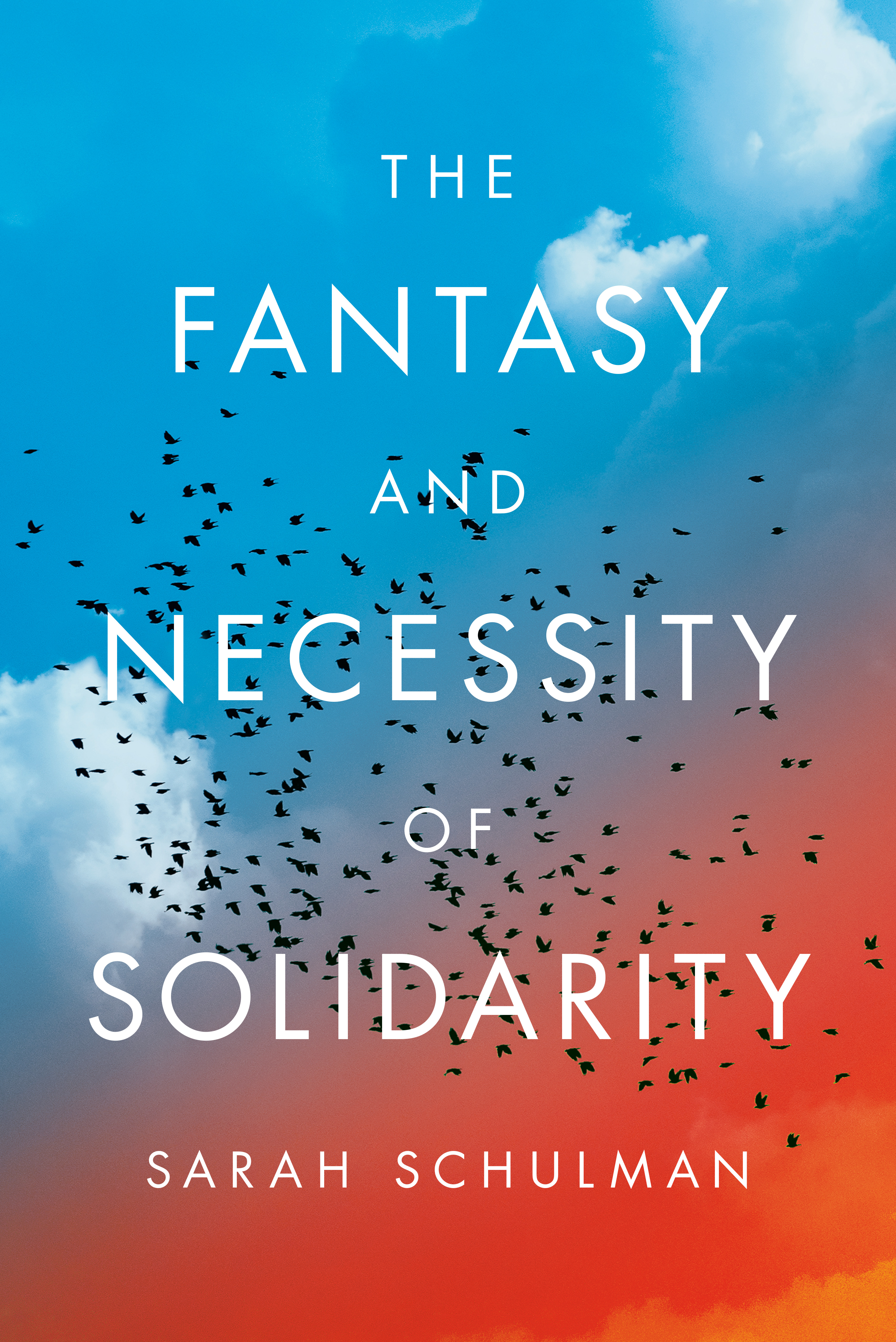 Sarah Schulman: The Fantasy and Necessity of Solidarity (Hardcover, 2025, Thesis)