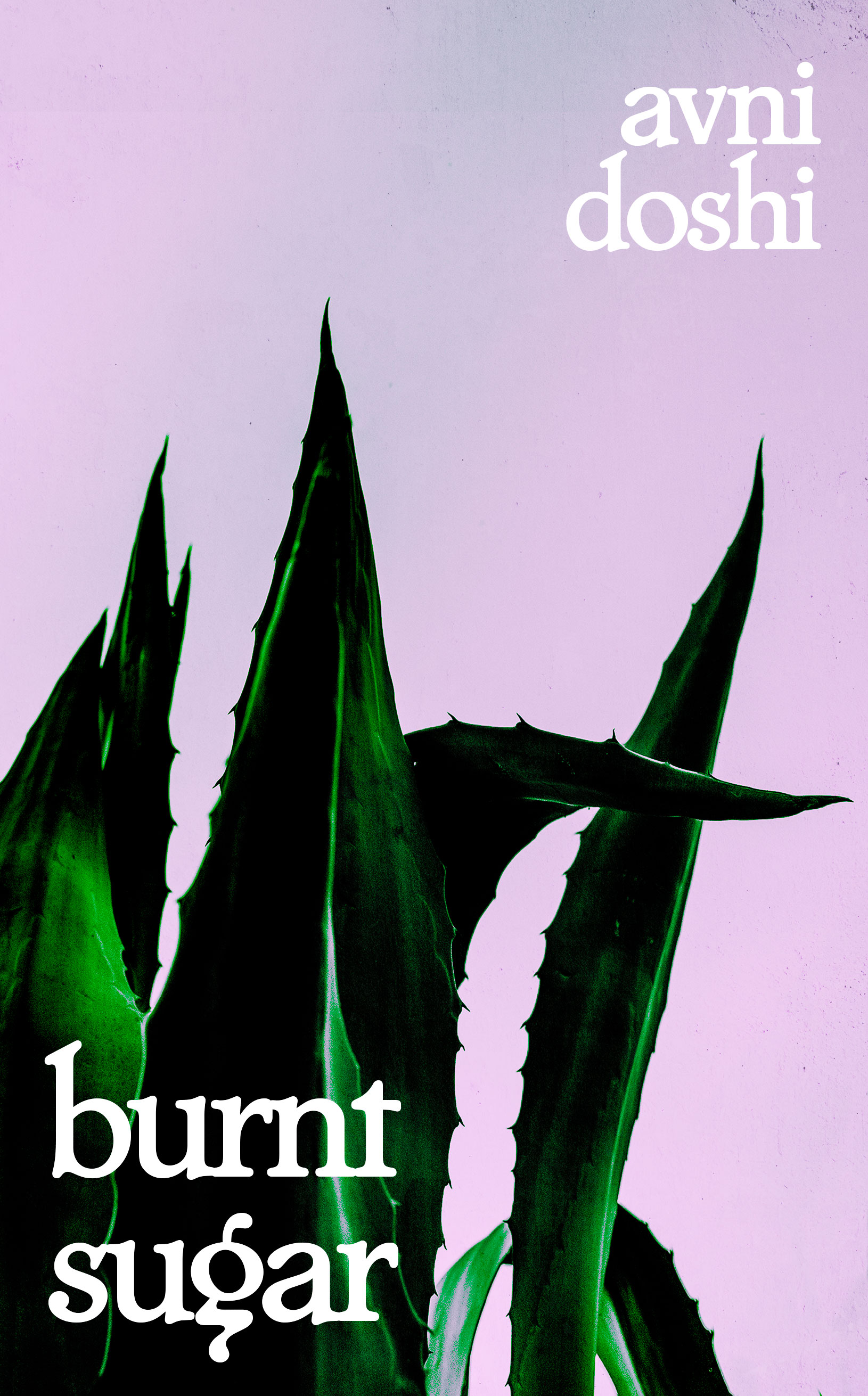 Avni Doshi: Burnt Sugar (Paperback, 2020, Hamish Hamilton)