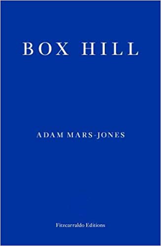 Box Hill (Paperback, 2020, Fitzarraldo Editions)